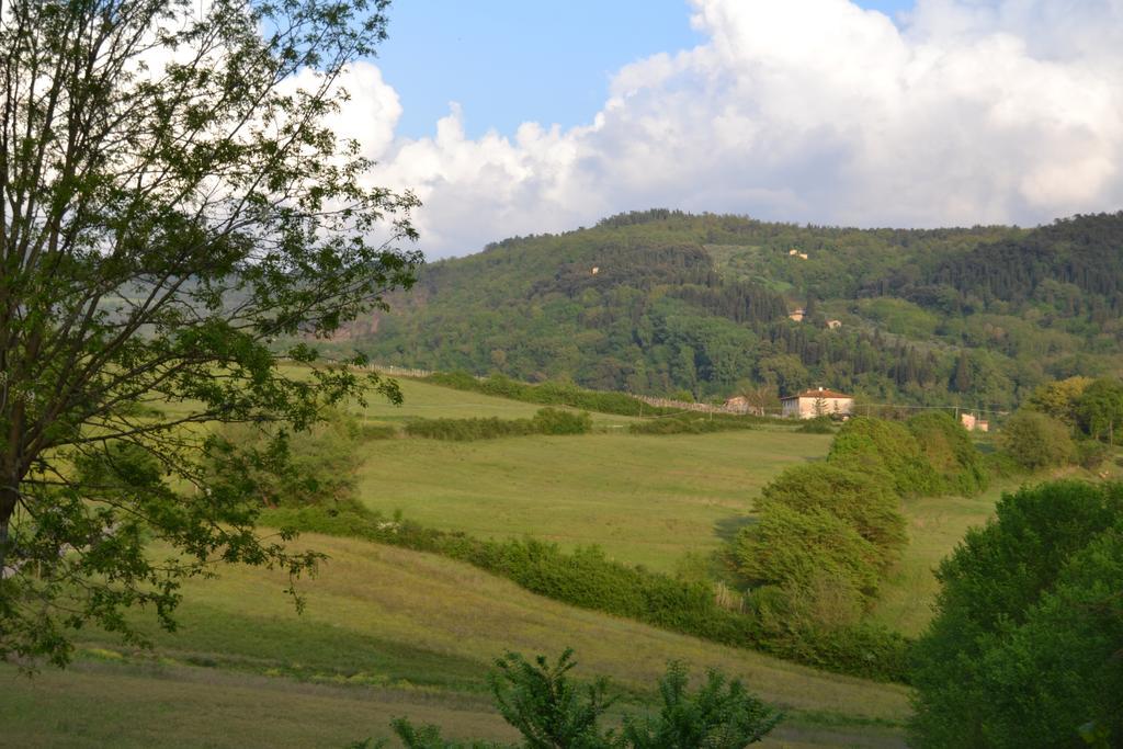 B&B Villa Il Poggiolino Molino del Piano Exteriör bild