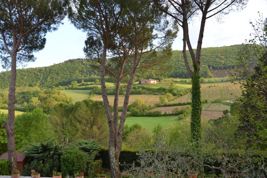 B&B Villa Il Poggiolino Molino del Piano Exteriör bild